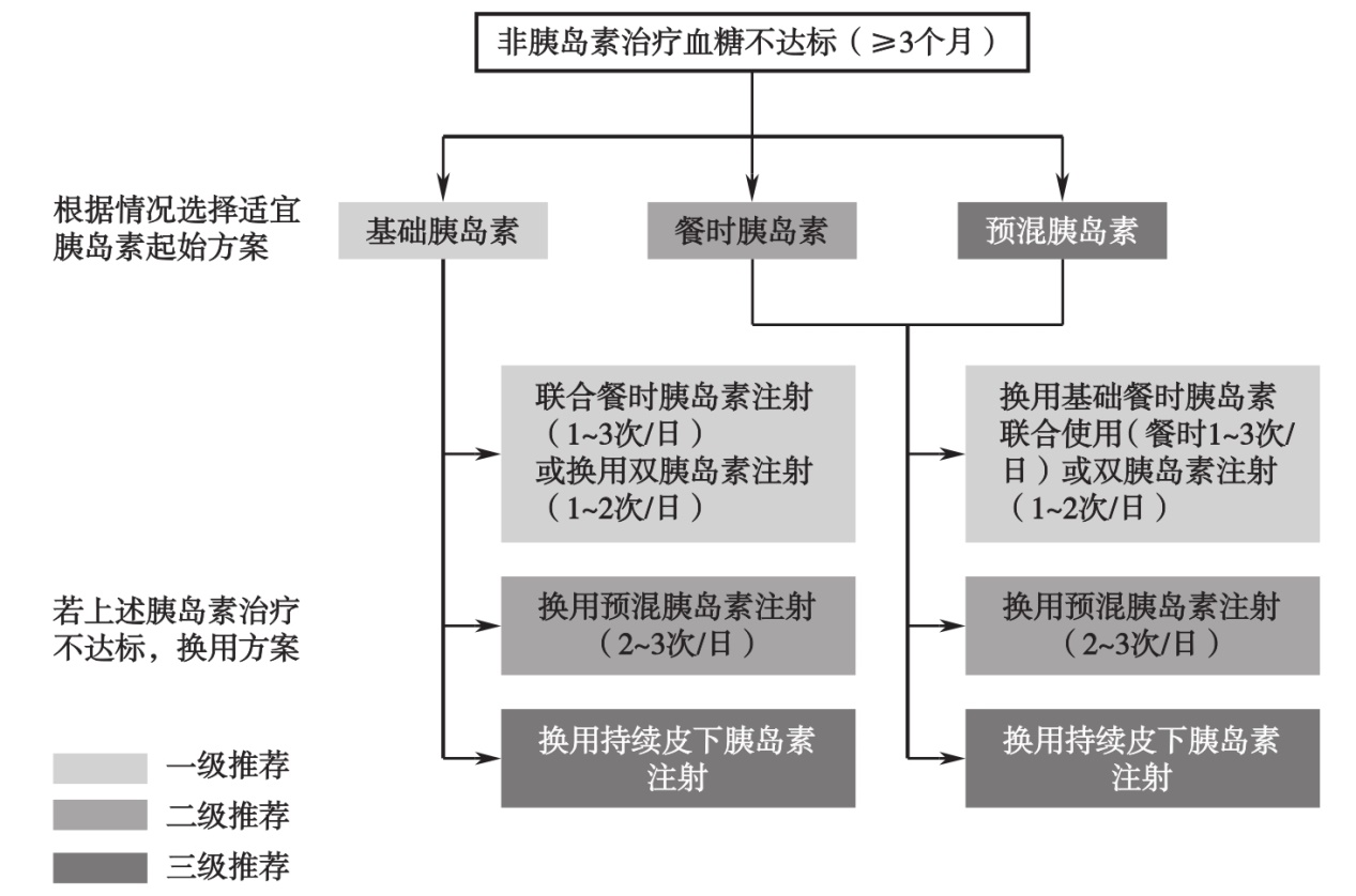 图2 老年T2DM患者胰岛素治疗路径图